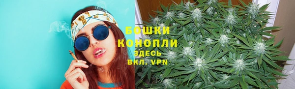 бошки Надым