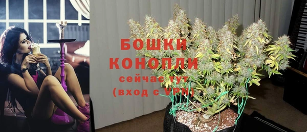 бошки Надым