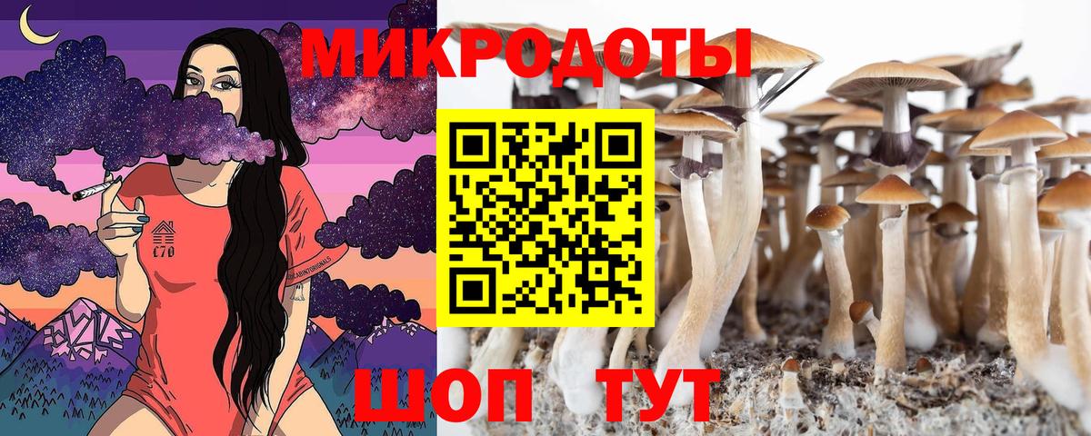 Галлюциногенные грибы прущие грибы Михайловск