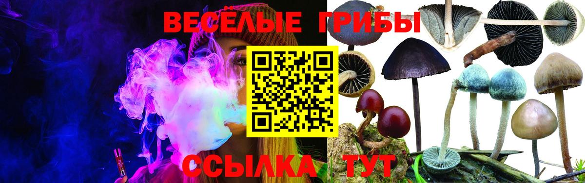 Псилоцибиновые грибы GOLDEN TEACHER  Вход с VPN  Псилоцибиновые грибы мицелий  Михайловск 